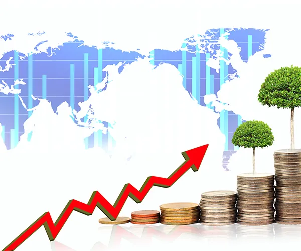 Multi-currency Account